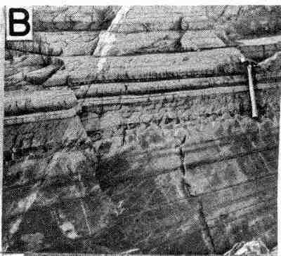 Stratification in the rocks of Fresh-water Point Formation.