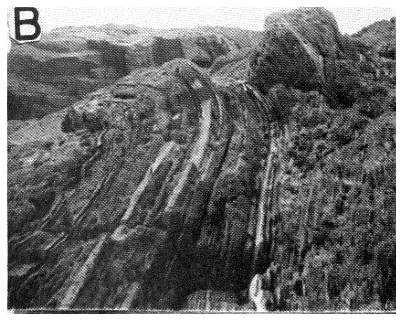 Slump folds near Fisher's Point. Axes of the folds are almost vertical and normal stratification is distinctly seen in the background