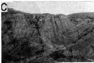 Slump folding and faulting in the St. John's Formation near Cripple Cove.